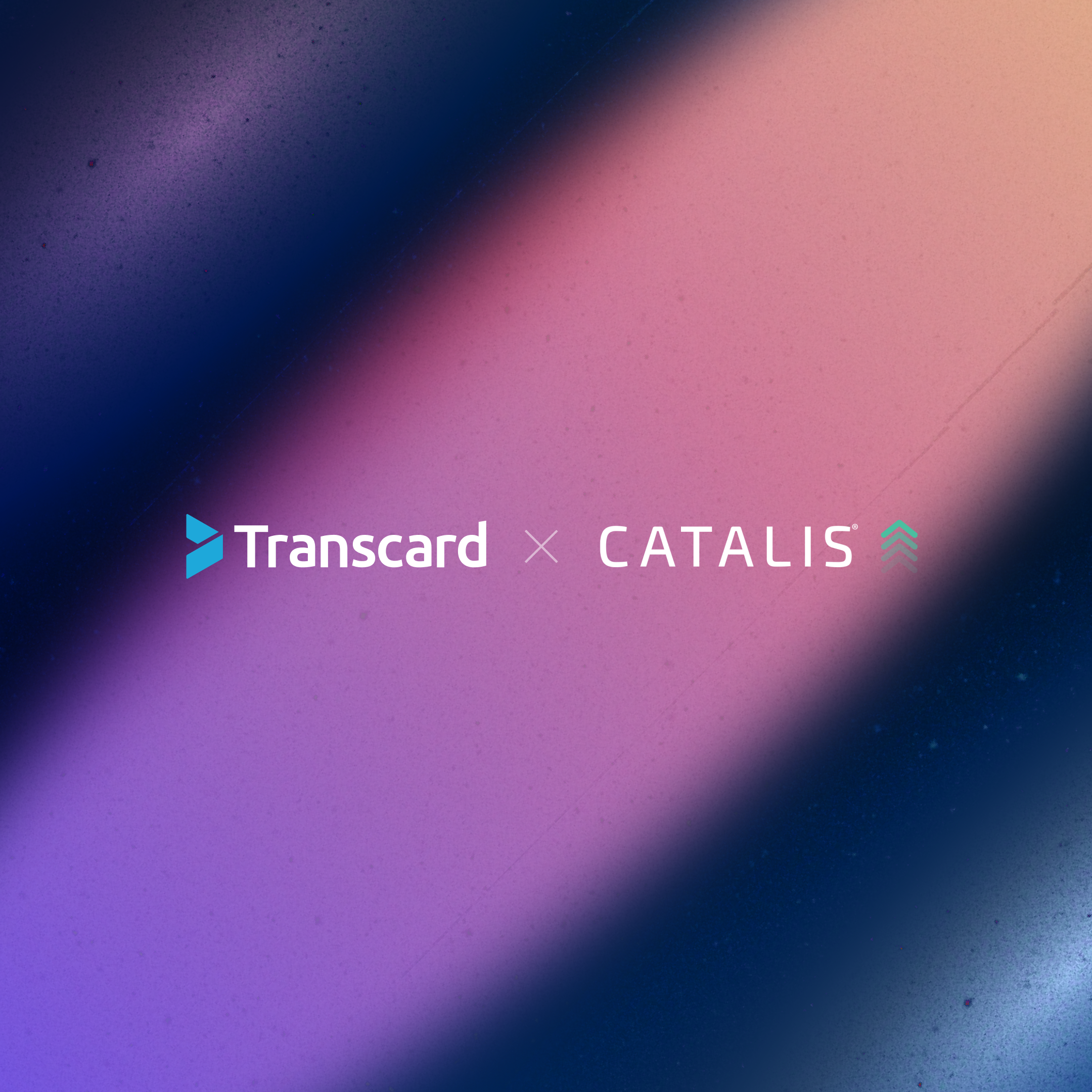 Insta-Catalis x Transcard